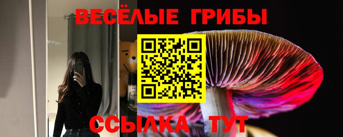 Псилоцибиновые грибы GOLDEN TEACHER  закладка  Новоуральск  Вход с VPN 